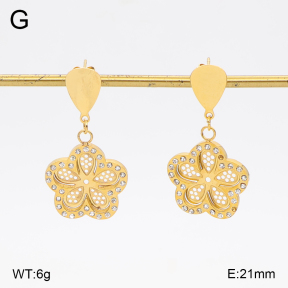 2E4005101vbnb-317  Stainless Steel Earrings