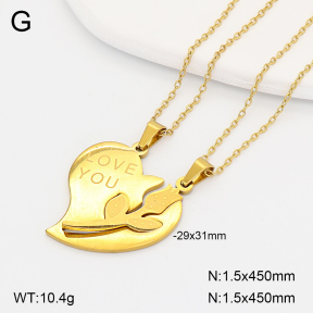 2N2008917aakl-704  Stainless Steel Necklace