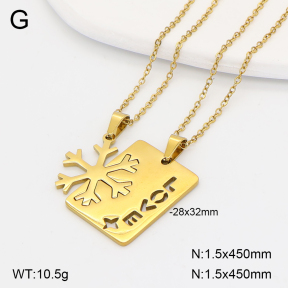 2N2008953aakl-704  Stainless Steel Necklace