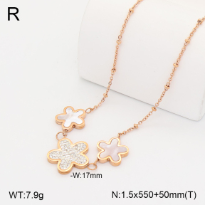 2N3003399bhva-317  Stainless Steel Necklace