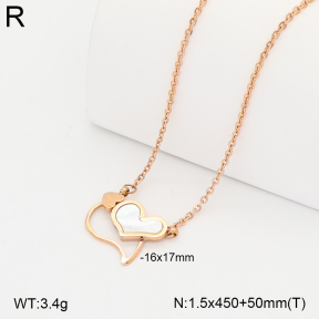 2N3003401vbnb-317  Stainless Steel Necklace