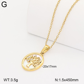 2N4005531bhia-317  Stainless Steel Necklace