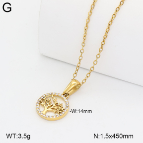 2N4005533bhva-317  Stainless Steel Necklace
