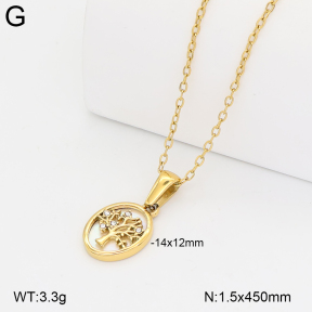 2N4005535bhva-317  Stainless Steel Necklace