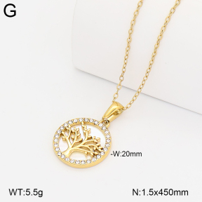 2N4005538ahjb-317  Stainless Steel Necklace