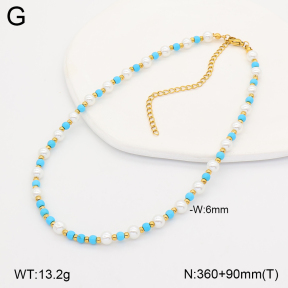 CL6N00060bhbl-900  Closeout( No Discount) Stainless Steel Necklace