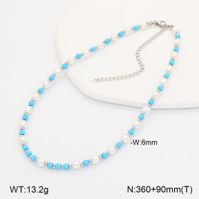 CL6N00061vbnl-900  Closeout( No Discount) Stainless Steel Necklace