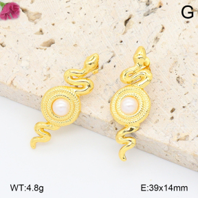F2E301177aajl-J81  Fashion Earrings