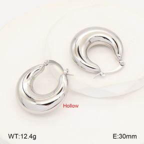 2E2007053vbmb-452  Stainless Steel Earrings