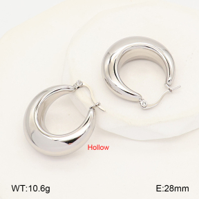 2E2007054vbmb-452  Stainless Steel Earrings