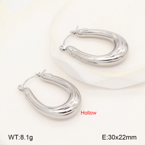 2E2007055vbmb-452  Stainless Steel Earrings