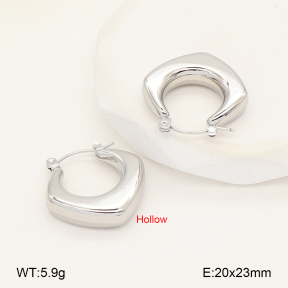 2E2007056vbmb-452  Stainless Steel Earrings