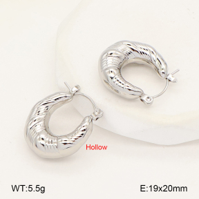 2E2007058vbmb-452  Stainless Steel Earrings