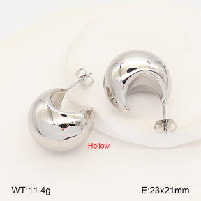 2E2007059vbmb-452  Stainless Steel Earrings