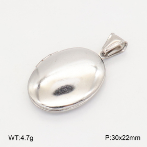 2P2006249vaia-452  Stainless Steel Pendant