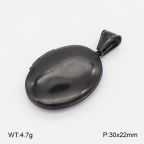 2P2006250vail-452  Stainless Steel Pendant