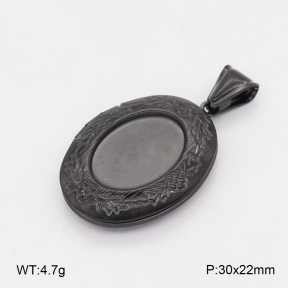 2P2006253vail-452  Stainless Steel Pendant