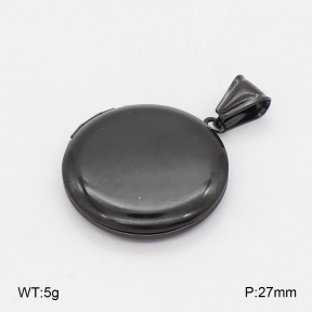 2P2006256vail-452  Stainless Steel Pendant