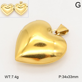 2P2006287vbll-452  Stainless Steel Pendant