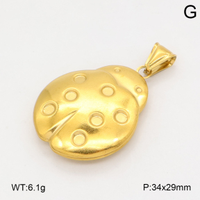 2P2006299aajl-452  Stainless Steel Pendant