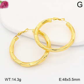 F2E202162vbmb-J191  Fashion Earrings