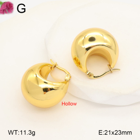 F2E202169vbmb-J191  Fashion Earrings