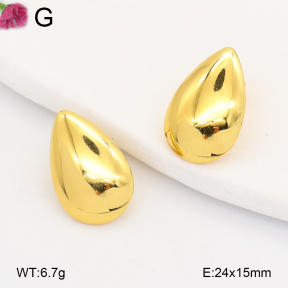 F2E202183avja-J191  Fashion Earrings