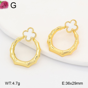 F2E301231vail-J191  Fashion Earrings