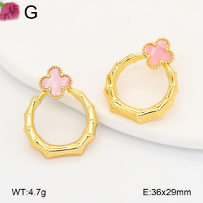 F2E301232vail-J191  Fashion Earrings