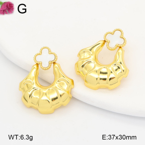 F2E301239vail-J191  Fashion Earrings