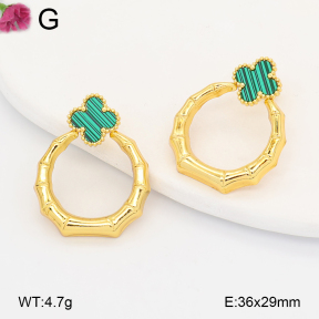 F2E402287vail-J191  Fashion Earrings