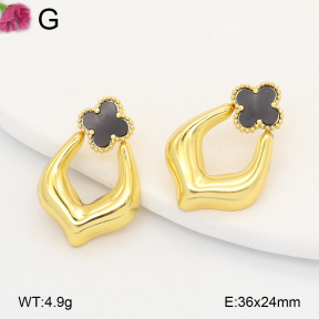 F2E402291vail-J191  Fashion Earrings