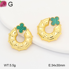 F2E402294vail-J191  Fashion Earrings