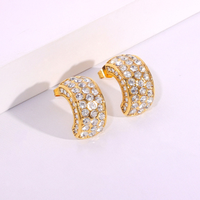 6E2007086vbpb-334  Stainless Steel Earrings