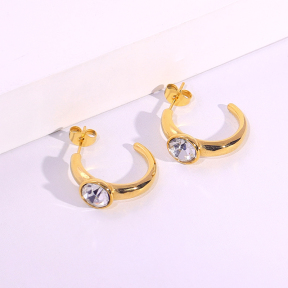 6E2007088vbnb-334  Stainless Steel Earrings