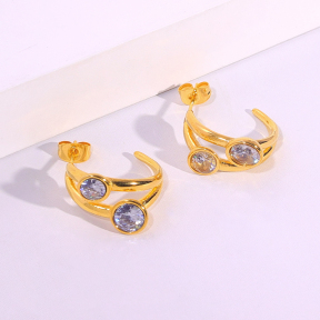 6E2007089bbov-334  Stainless Steel Earrings