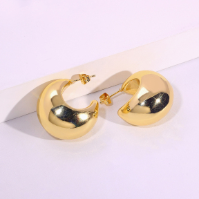 6E2007092vbnb-334  Stainless Steel Earrings