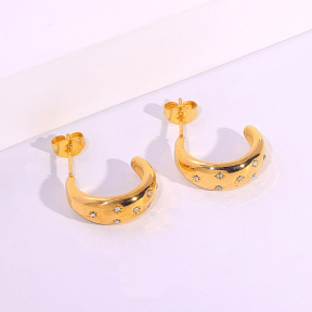 6E2007093vbnb-334  Stainless Steel Earrings