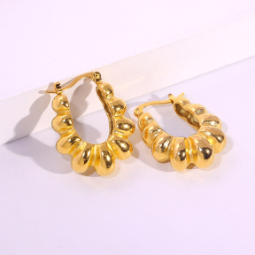 6E2007094bbov-334  Stainless Steel Earrings
