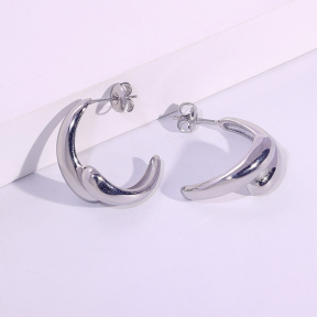 6E2007097vbmb-334  Stainless Steel Earrings