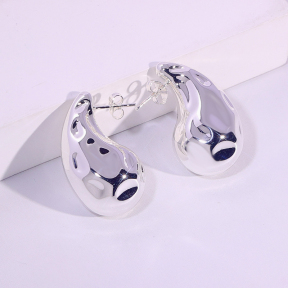 6E2007098vbnb-334  Stainless Steel Earrings