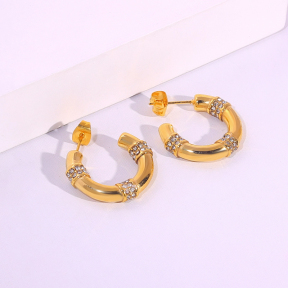 6E2007099bbov-334  Stainless Steel Earrings