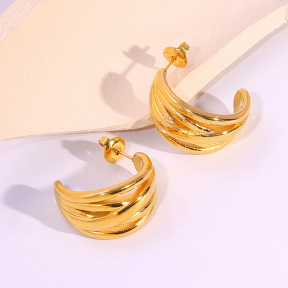 6E2007100vbnb-334  Stainless Steel Earrings