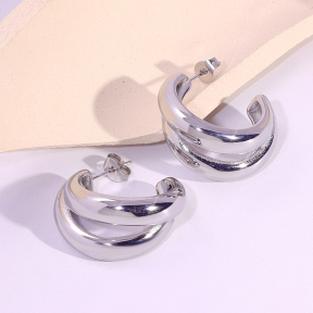 6E2007101vbnb-334  Stainless Steel Earrings