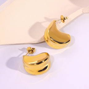 6E2007102vbnb-334  Stainless Steel Earrings