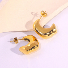 6E2007103vbnb-334  Stainless Steel Earrings
