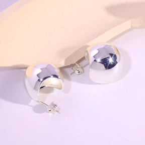6E2007104bbov-334  Stainless Steel Earrings