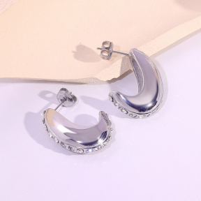 6E2007106bbov-334  Stainless Steel Earrings