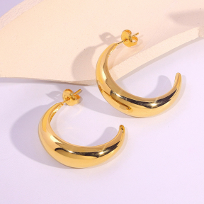 6E2007110bbov-334  Stainless Steel Earrings