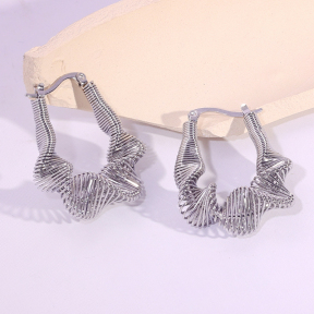 6E2007111vbnb-334  Stainless Steel Earrings